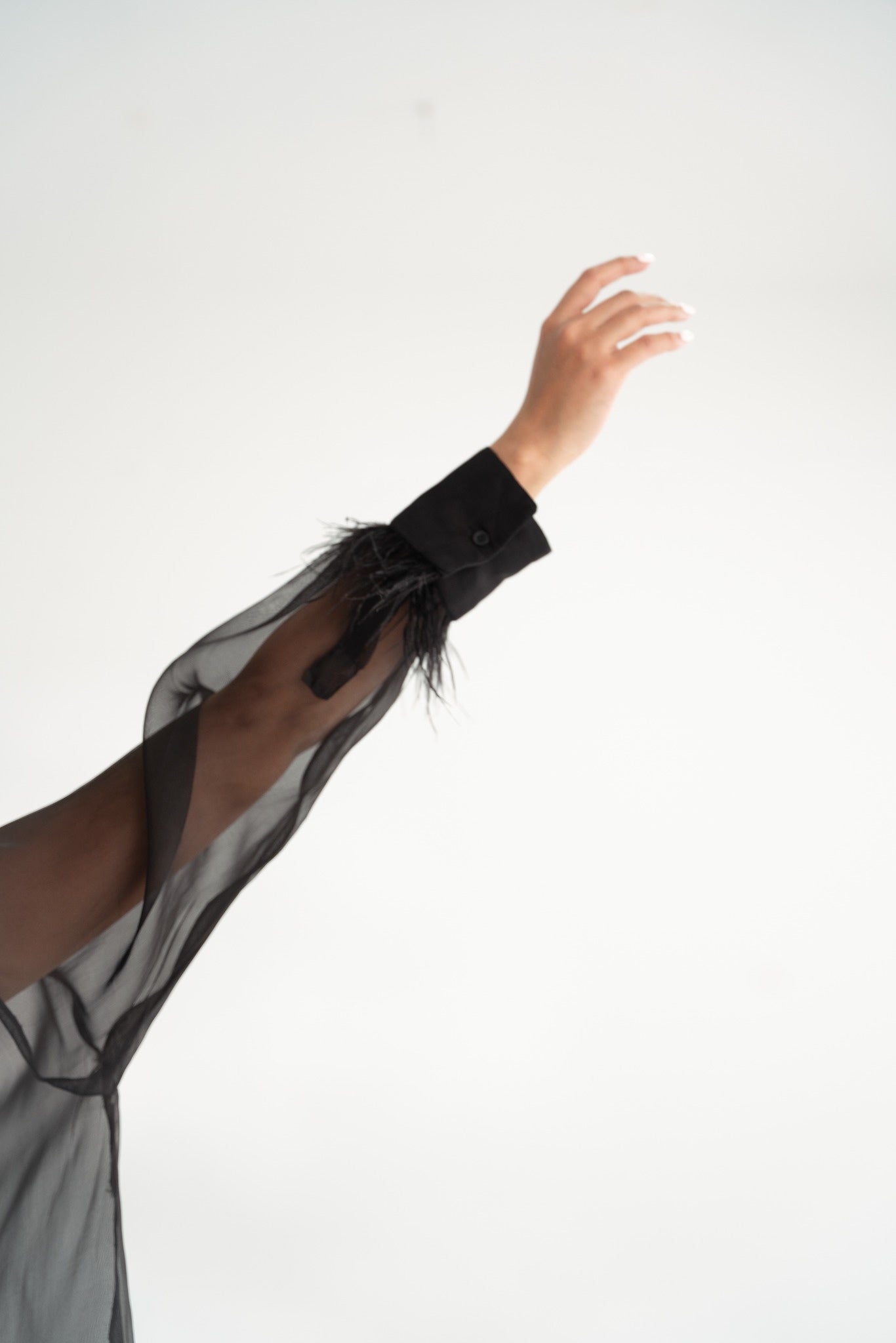 The Feather Set - Midnight