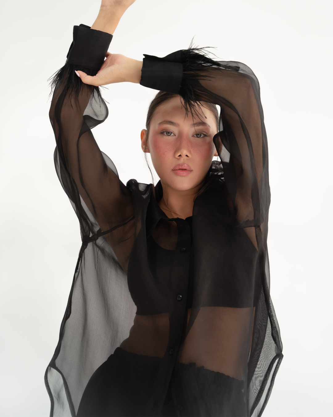 The Feather Set - Midnight